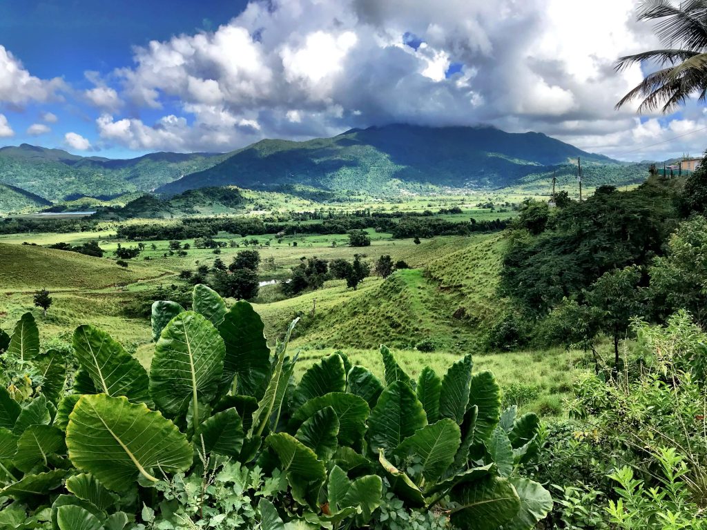 El Yunque National Forest - Vuelta Puerto Rico